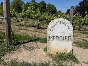 Remorquage voiture Meyzieu